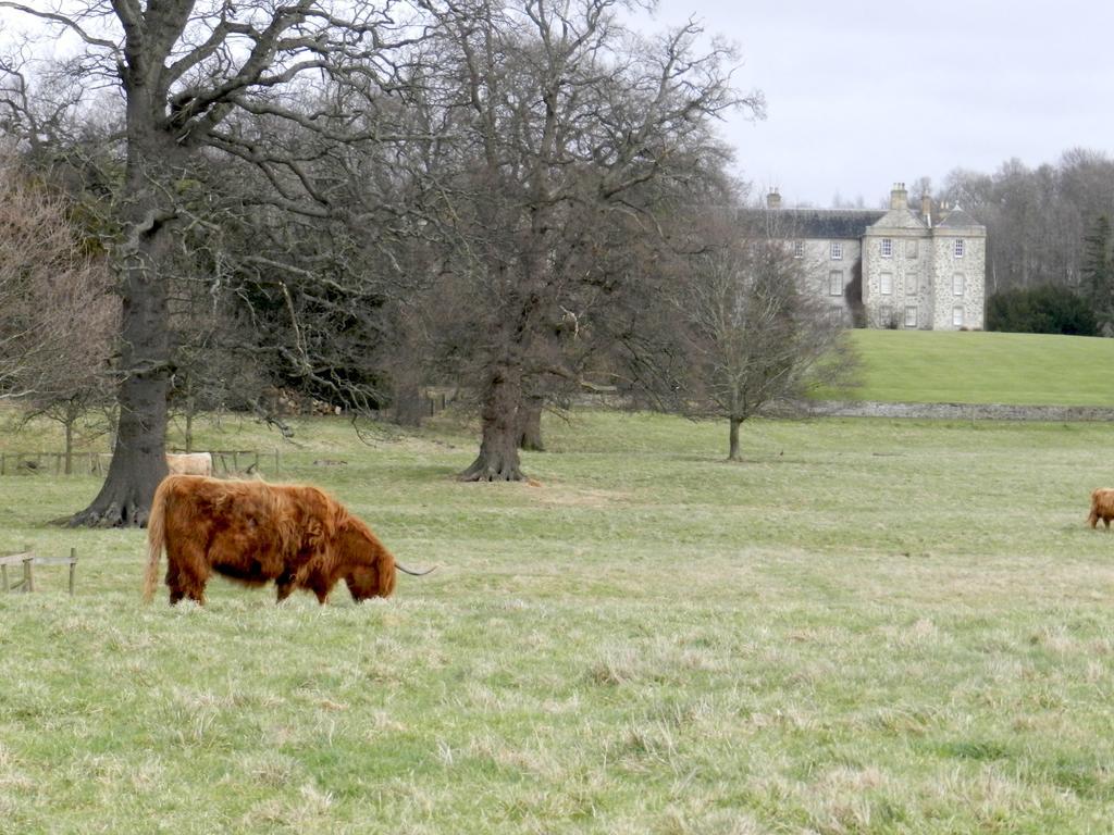 Balmoral Guesthouse Edinburgh Luaran gambar